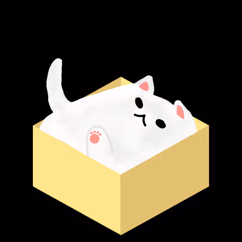 BoxCat Collection